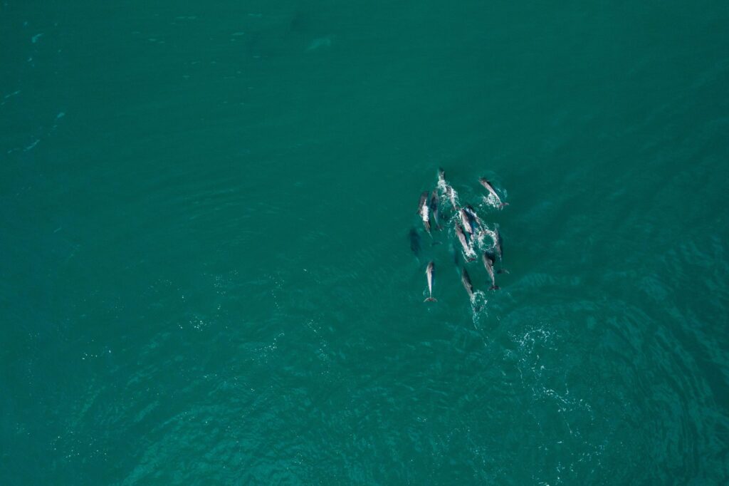 Praia Baía dos Golfinhos