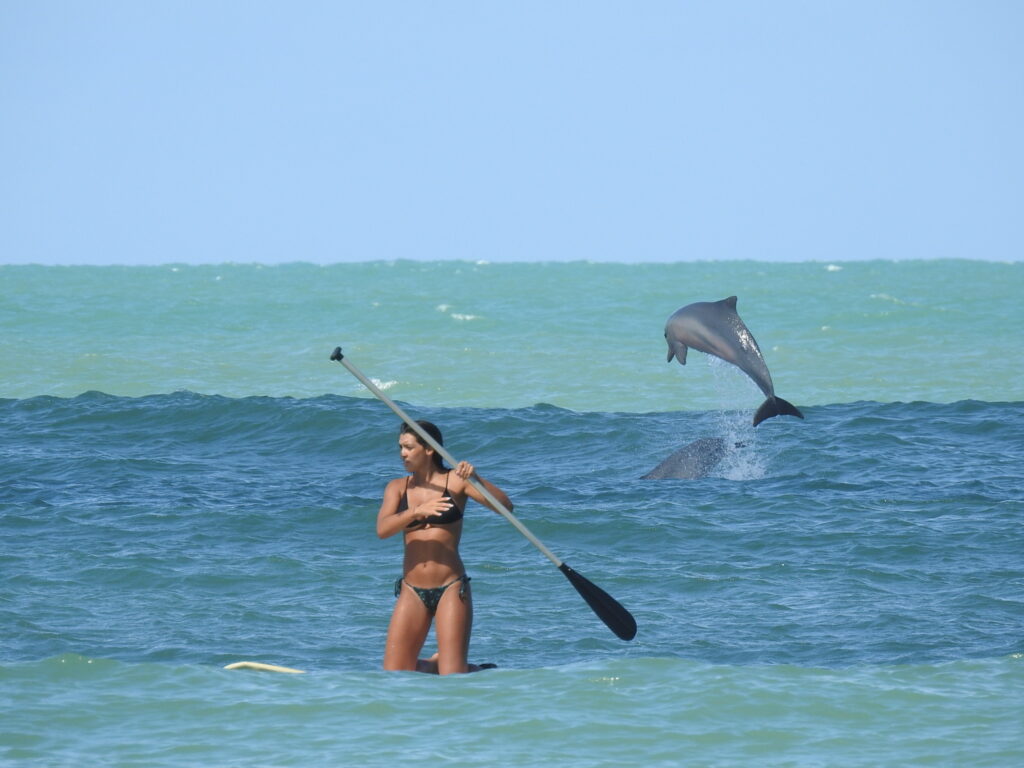 Praia da Pipa RN